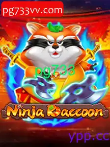 NinjaRaccoon